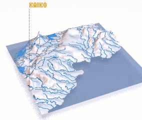 3d view of Kaiko