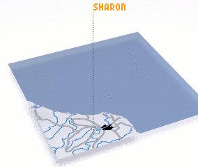 3d view of Sharon