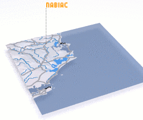 3d view of Nabiac