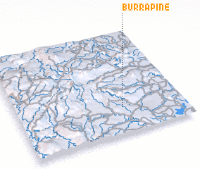 3d view of Burrapine