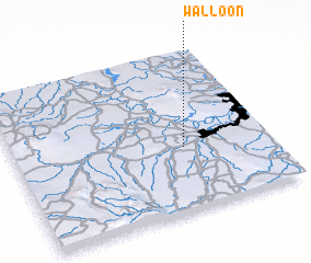 3d view of Walloon