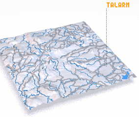 3d view of Talarm