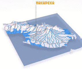 3d view of Makapeka