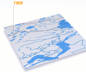 3d view of Timir