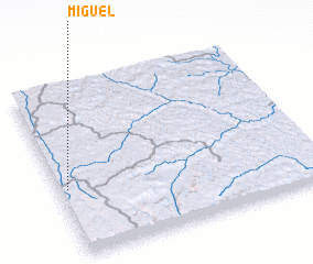 3d view of Miguel