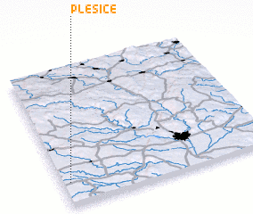 3d view of Plešice