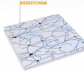 3d view of Biedrzychowa