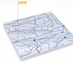 3d view of Senik