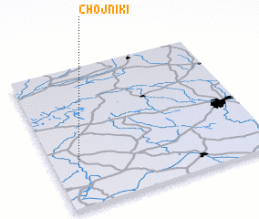 3d view of Chojniki