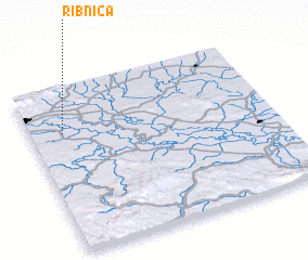 3d view of Ribnica