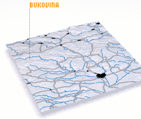 3d view of Bukovina