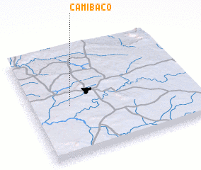 3d view of Camibaco