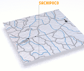 3d view of Sachipoco