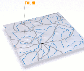 3d view of Toumi