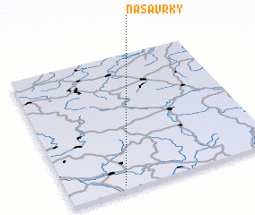 3d view of Nasavrky