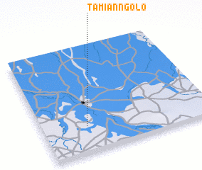 3d view of Tamian Ngolo
