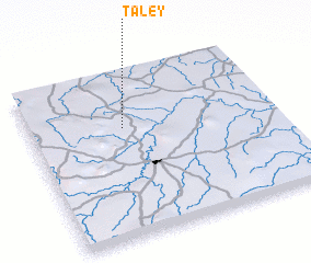3d view of Taley