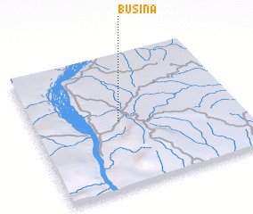 3d view of Busina
