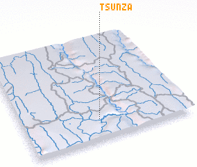 3d view of Tsunza