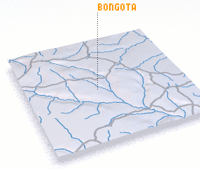 3d view of Bongota