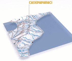 3d view of Case Paparaci