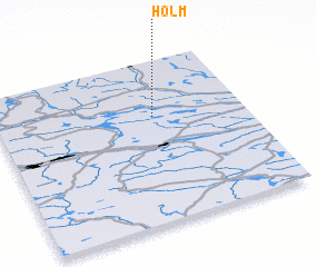 3d view of Holm