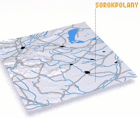 3d view of Sorokpolány