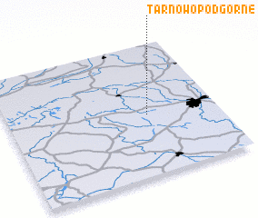 3d view of Tarnowo Podgórne