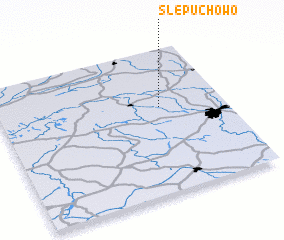 3d view of Ślepuchowo