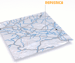 3d view of Repušnica