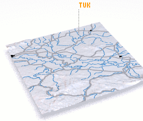 3d view of Tuk