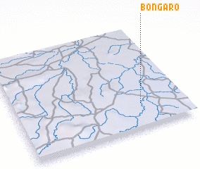 3d view of Bongaro