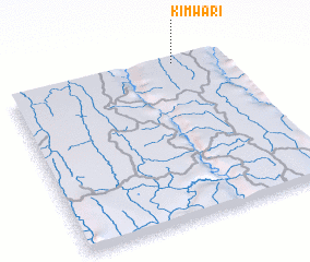 3d view of Kimwari