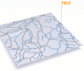 3d view of Talé