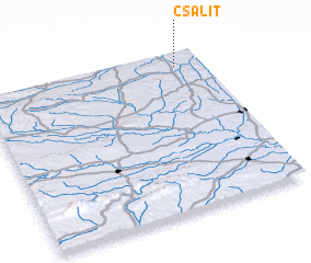 3d view of Csalit