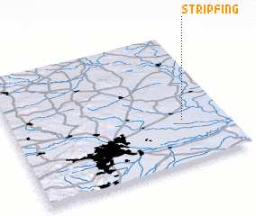 3d view of Stripfing