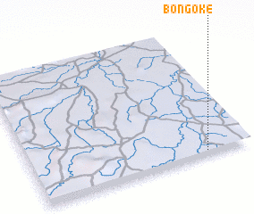 3d view of Bongoke