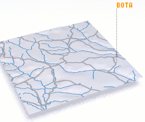 3d view of Bota