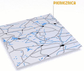 3d view of Pieniężnica