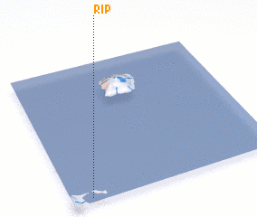 3d view of Rip