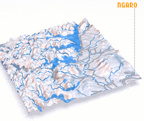 3d view of Ngaro