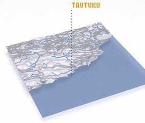 3d view of Tautuku