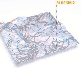 3d view of Bluespur