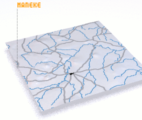 3d view of Maneké