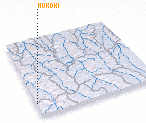 3d view of Mukoki