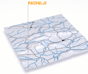 3d view of Paspalji