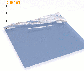 3d view of Pupnat