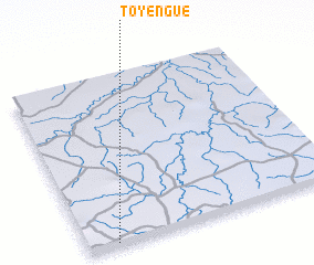 3d view of Toyengué