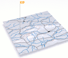 3d view of Kip