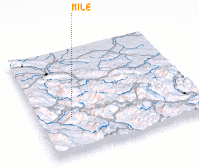 3d view of Mile